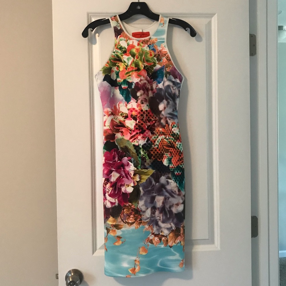 Clover Canyon Pool Flower Neoprene Dress